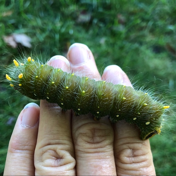 Meet your Posher, Meg - Picture 6 of 7